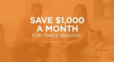 Broadstreet’s Lakeview Ridge offers 1, 2, and 3 bedroom pet friendly apartments and 3 bedroom townho...