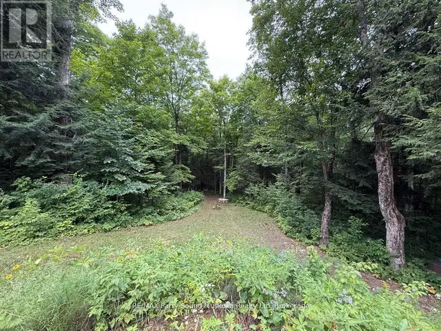 335 CENTRE ROAD McKellar, Ontario in Land for Sale in Barrie - Image 9