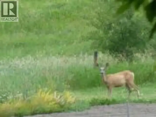 12, 420069 Range Road 284 Rural Ponoka County, Alberta in Land for Sale in Red Deer - Image 12