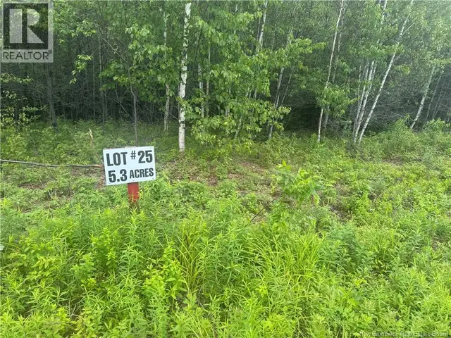 Lot 25 Misty Mountain Road Elmsville, New Brunswick in Land for Sale in Saint John - Image 29
