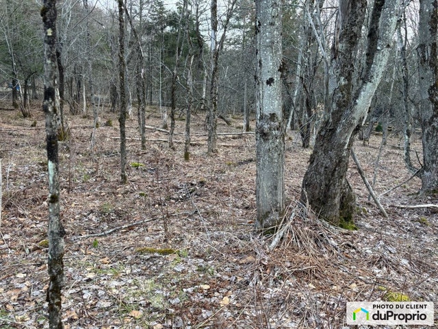 $199,000 - Residential Lot for sale in Shefford — photo 1