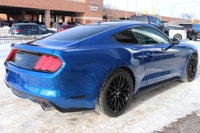 Capital Ford Lincoln Winnipeg Ltd (MB's #1 Rated Ford Store) Looking for something that catches the... (image 3)