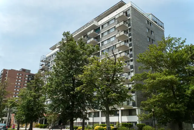 Beautiful 1 bedroom suite for June 1st! in Long Term Rentals in City of Halifax - Image 7