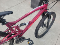 Raleigh tracker bike