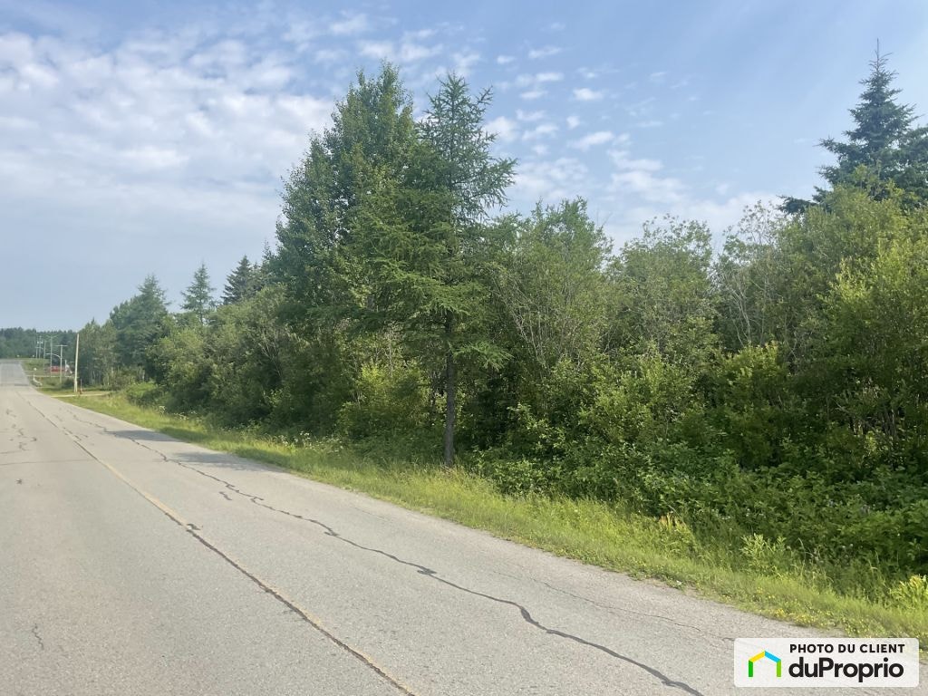 $135,000 - Residential Lot for sale in Paspebiac — photo 3