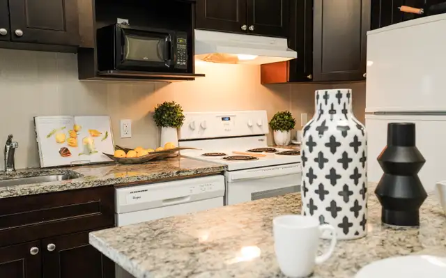 1 Bedroom + Den & 2 Bedroom + Den Available in Long Term Rentals in Kitchener / Waterloo - Image 5