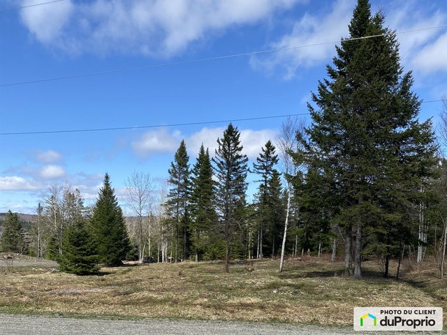 $115,000 - Residential Lot for sale in Lac-Etchemin — photo 3