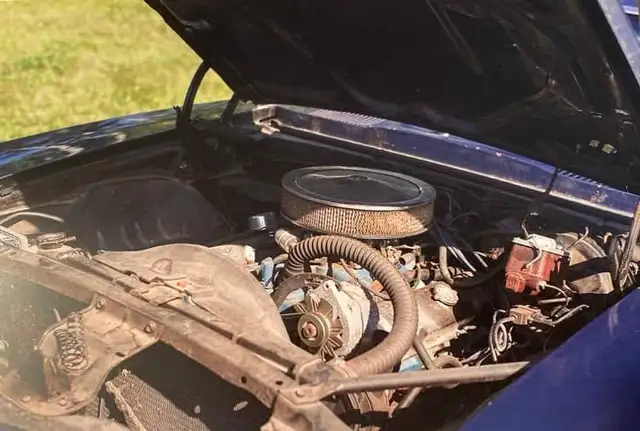 1969 Firebird506741282120683524