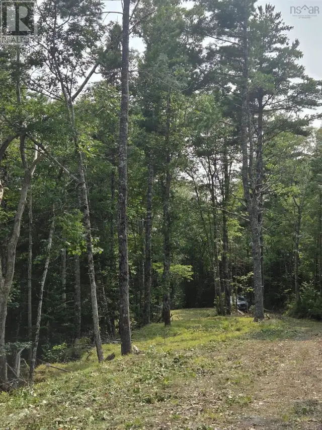 Highway 103 Sable River, Nova Scotia in Land for Sale in Yarmouth - Image 18