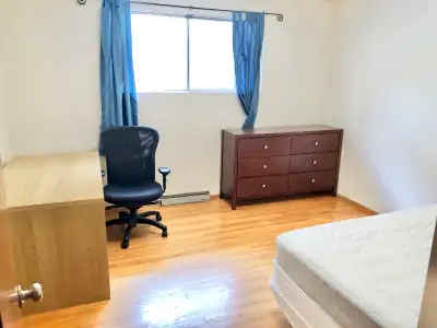 Super nice furnished main floor MASTER room in Charleswood house. Share this beautiful bungalow with...