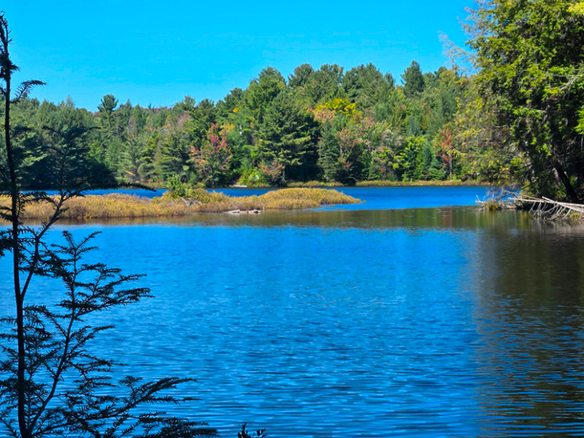 Domaine boisé 12 269 861 pieds carrés à Rawdon dans Terrains à vendre  à Lanaudière - Image 2