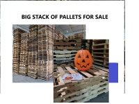 READY NOW 51x43 inch pallets PLASTIC 48x40, and MORE instock dry Mississauga / Peel Region Toronto (GTA) Preview