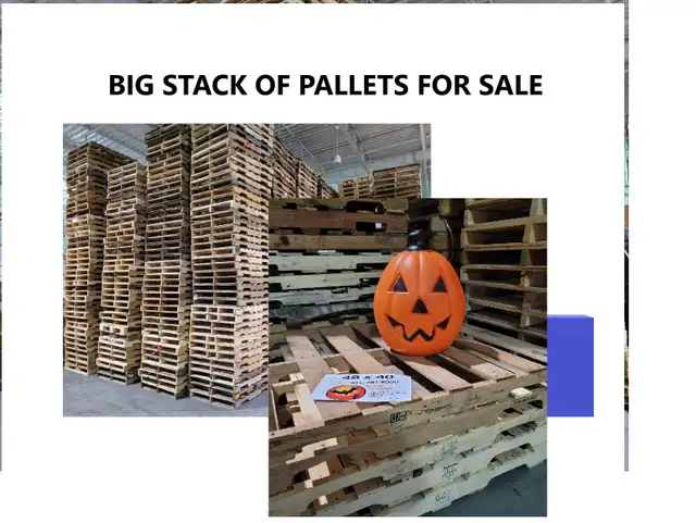 READY NOW 51x43 inch pallets PLASTIC 48x40, and MORE instock dry in Other in Mississauga / Peel Region - Image 2