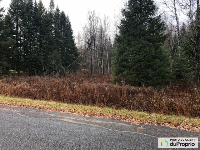 $39,900 - Residential Lot for sale in St-Damien — photo 2