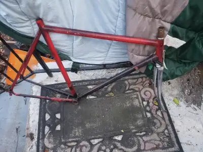 Road bike frameset Schwinn chromoly steel 57cm chrome fork, View more