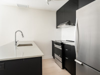 Logement apartment for rent, Studio, 3.5 3 1/2, 1 bedroom/chambre, Griffintown, Sud-Ouest, Canal Lac... (image 1)