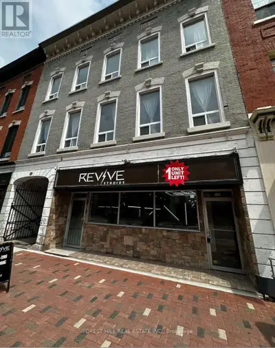 Tastefully Renovated Live/Work Studio Outfitted With A Kitchenette & 3 Piece Bathroom.Conveniently P...