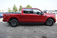2022 FORD F-150 XLT SUPERCREW 4X4 FX4 Legendary 5.0L V8 • FX4 Off-Road Package • ONLY 141,563 KMS •... (image 4)