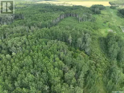 76 acres adjacent to Highway nine S. Of Hudson Bay South. We have road access to the back of the pro...