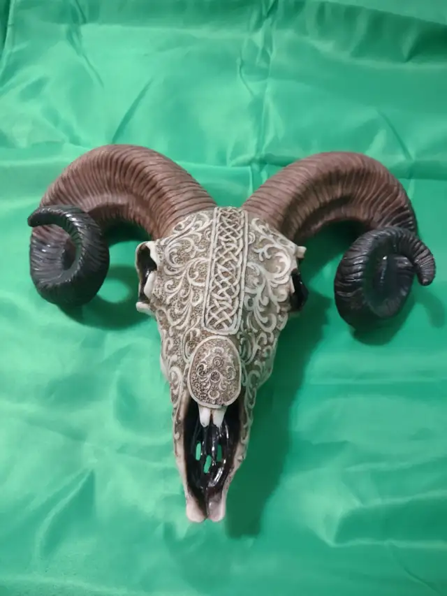 Decorative head in Other in Granby - Image 2