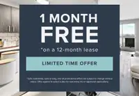 1 Month of Rent FREE* | Modern 1 Bedroom Apartment for Rent
