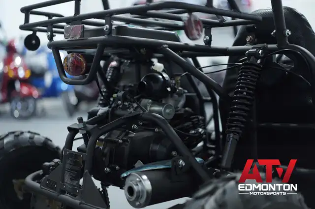 2022 Gio GT125 BUGGY Brand New! For Kids/ 2up/ Available in our  in ATVs in Edmonton - Image 9