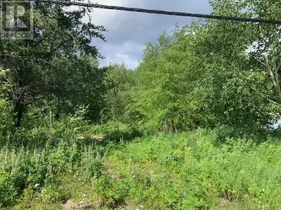 60 Palliser Crescent is a lovely mature lot located in a great neighbourhood. Ideal spot to build yo...