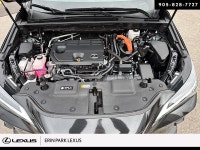 LUXURY ... Engine: LIGHT/MEDIUM DUTY L/100Km City: 5.7 L/100Km Hwy: 6.4 Safety Equipment Electronic... (image 7)