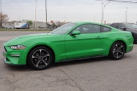 NO ACCIDENT Unleash the thrill of the open road with the 2019 Mustang Ecoboost Coupe. With its bold... (image 2)