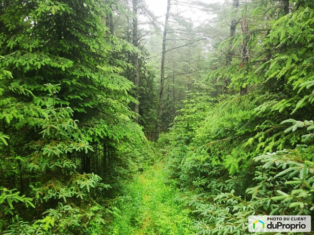 $95,000 - Residential Lot for sale in Labelle — photo 1
