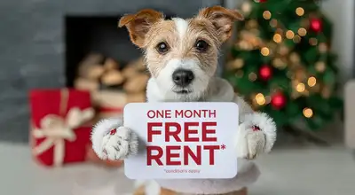 Broadstreet's River Meadow Estates offers 1 and 2 bedroom pet friendly apartments for rent in peacef...