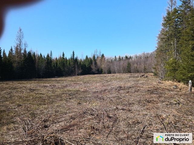 $100,000 - Residential Lot for sale in Larouche — photo 3