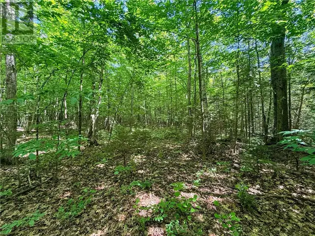 514C East Road Mindemoya, Manitoulin Island, Ontario in Land for Sale in Sudbury - Image 28