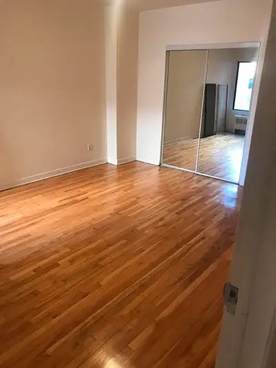 3 1/2 ensoleillé et calme 1 chambre fermée Plancher de bois francs Buanderie dans immeuble Chats acc...