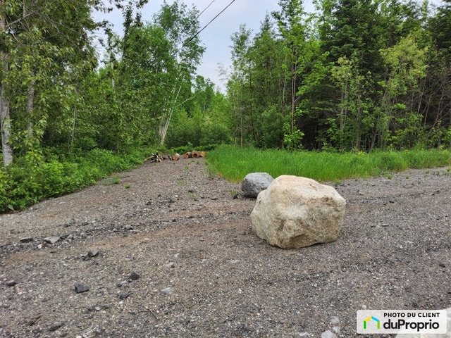 $95,000 - Residential Lot for sale in L'Anse-St-Jean — photo 2