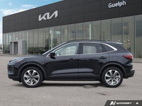 Powered by a dynamic 2.0L EcoBoost engine, this 2025 Ford Escape Platinum, with just 23,292 kilomete... (image 2)