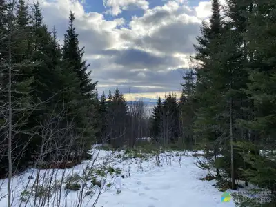 Superbe terrain boisé au Domaine du Massif avec vue magnifique sur le fleuve St-Laurent, Le Massif e...