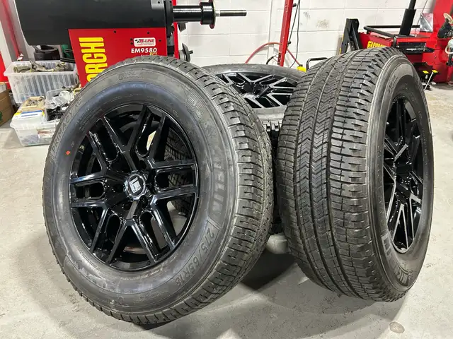 Brand New Ford F-150 / Expedition 18"  Rim &  All Season Tires in Tires & Rims in Edmonton - Image 5