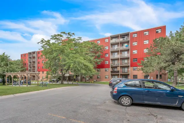 Kingston 1 Bedroom Apartment for Rent:62854406193923122