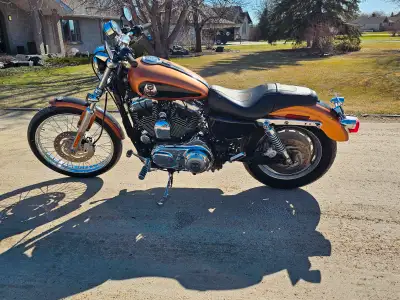 2008 Harley-Davidson XL 1200 C Sportster Custom – $6,900 OBO 105th Anniversary Edition – Only 25,174...