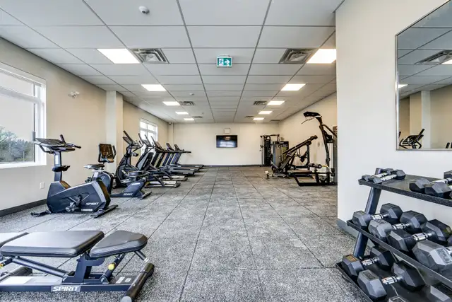 Terra Apartments - Quinte Apartment for Rent - Belleville in Long Term Rentals in Belleville - Image 9