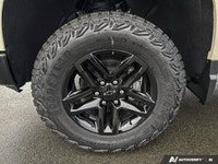 4WD Crew Cab 147 Custom Trail Boss ... Engine: Gas V8 5.3L/325 Safety Equipment Daytime Running Lamp... (image 8)