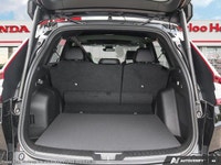 Come visit our Waterloo Honda team, you can find us at 545 King St N, Waterloo, ON N2L 5Z6, or call... (image 8)