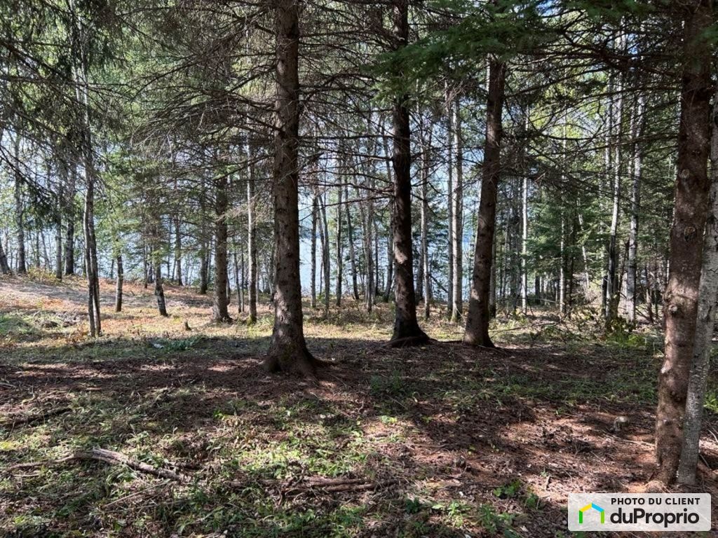 $75,000 - Residential Lot for sale in Lac-Bouchette — photo 2