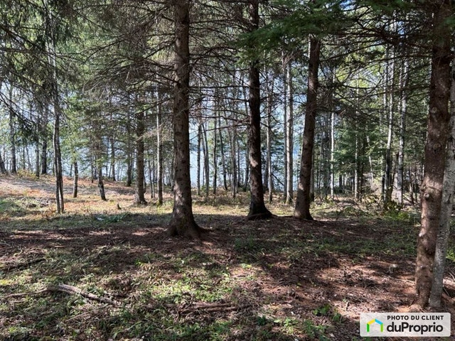 $75,000 - Residential Lot for sale in Lac-Bouchette — photo 2