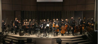 Music4Life String Orchestra Violin,Viola,Cello,Dbl Bass Players