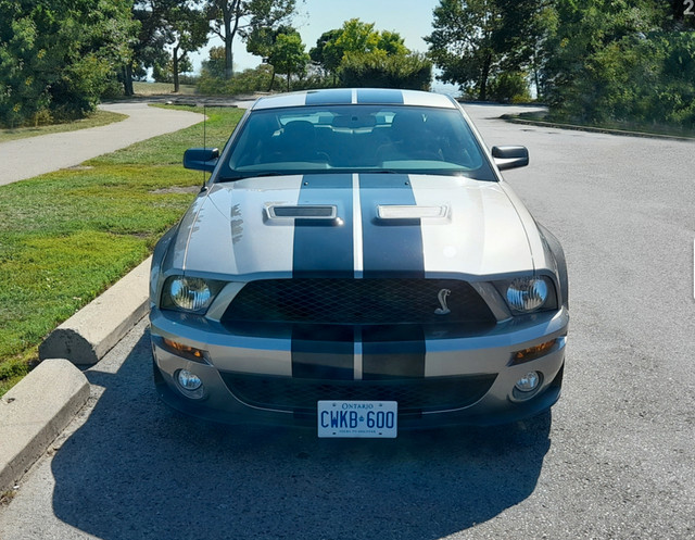 2008 Mustang Shelby GT 500 in Cars & Trucks in Markham / York Region