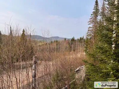 À 15 minutes du Massif de Charlevoix et de Baie St-Paul. Ligne électrique sur le coin du terrain. Vu...