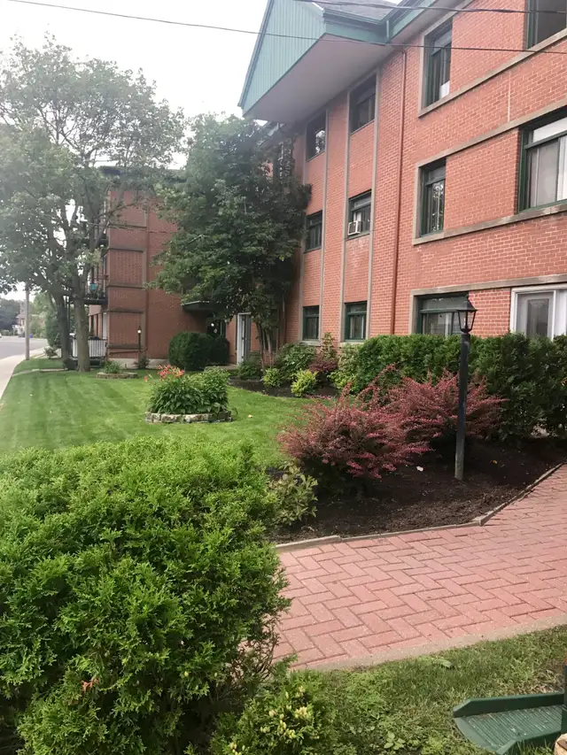 3 1/2 Vieux Longueuil, niveau du sol aucune marche, terrasse (MA