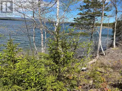 One and a half acres with 200 ft. of waterfront. Trees were left for privacy, pick your spot and cle...